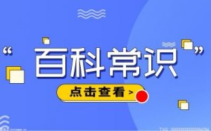 债券基金的年化率大致是多少？ 债券基金安全吗？