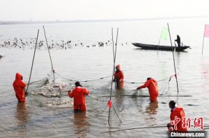 湖北枝江：“湖鱼”慈善拍卖助力扶弱济困