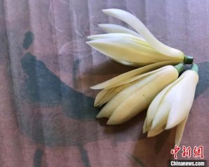 中国年轻人乐耕“阳台” 巧为新年添“新”菜