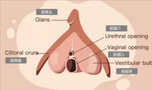 是怎么知道位置并准确进入，正确进入的位置图解