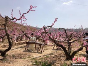 甘肃秦安“世外桃源”激活旅游带富乡村