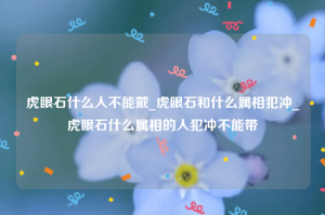 虎眼石什么人不能戴_虎眼石和什么属相犯冲_虎眼石什么属相的人犯冲不