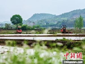 湖南东安发展“田管家” 满足小农户多样化服务需求