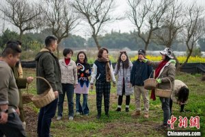 （台青话融合）台青入蜀当“农场主”