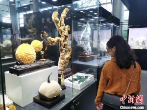 第十一届中国（湖南）国际矿物宝石博览会开幕