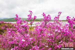 边境小城阿尔山开启“花式”旅游季