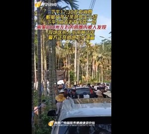 海南1岁半失踪女童已找到，在离家800米处猪圈被发现