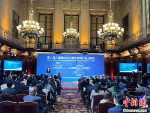 第六届进博会英国推介会举办 英机构期待加强合作