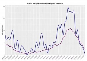 不是新冠不是甲流！该国正暴发这一病毒，感染100天后死亡率43%