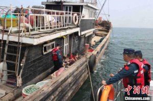 中国海警局北海分局保障黄渤海海域伏季休渔成效初显