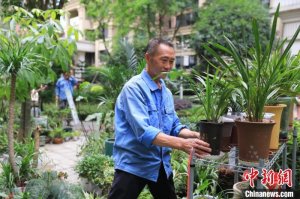 成都一小区提供“植物寄养”服务 为居民免费养护盆栽