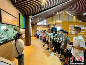 香港青少年参观上山遗址 “触摸”浙江“万年历史”