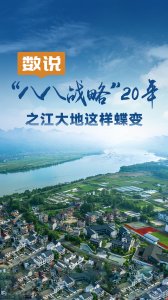 数说“八八战略”20年：之江大地这样蝶变