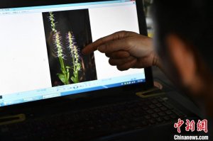 广东“南岭植物通”李远球：跋山涉水守护野生植物