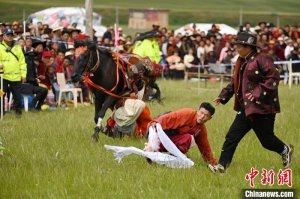 四川白玉欢乐草原上演骑马拾哈达